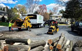 Best Tree Preservation Services  in Islip Terrace, NY